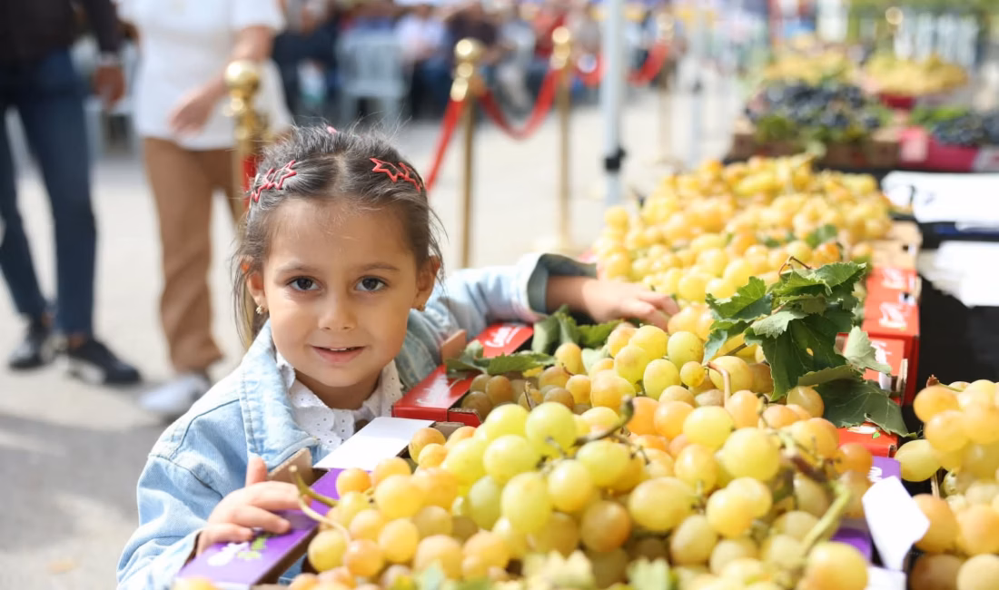 Osmangazi Belediyesi tarafından bu yıl 12'ncisi düzenlenen Karabalçık Üzüm Festivali'nde