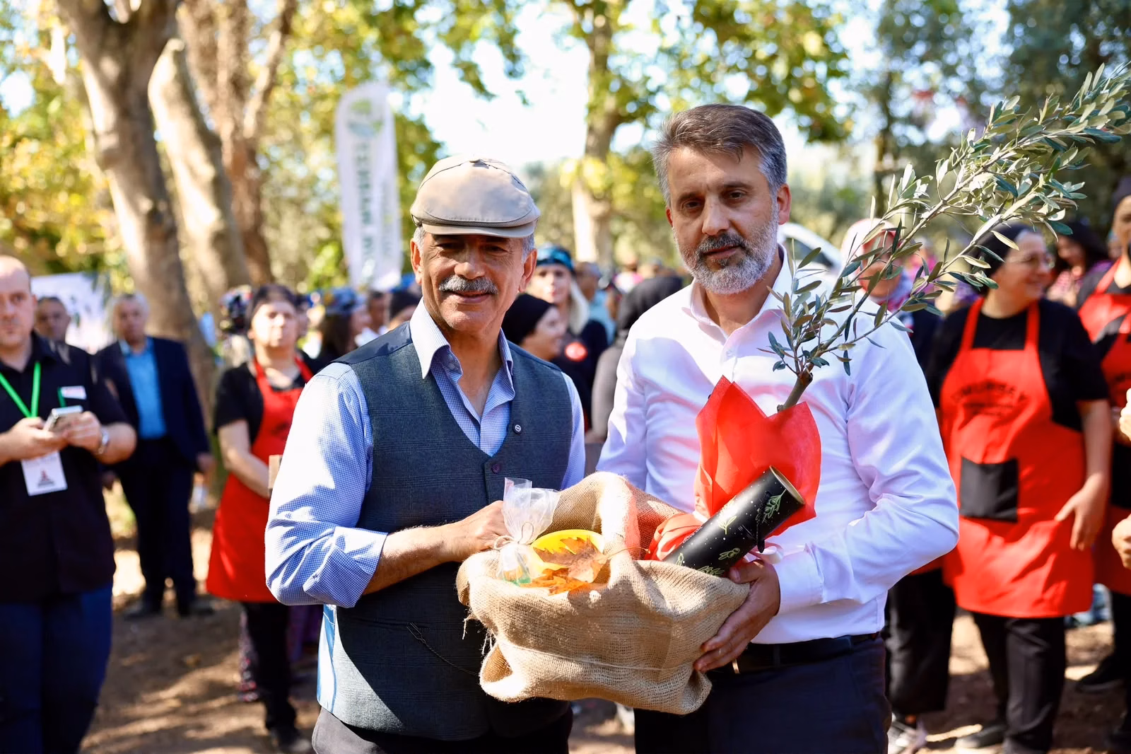 33. Uluslararası Gemlik Zeytini Festivali kapsamında düzenlenen 2. Zeytin Hasat