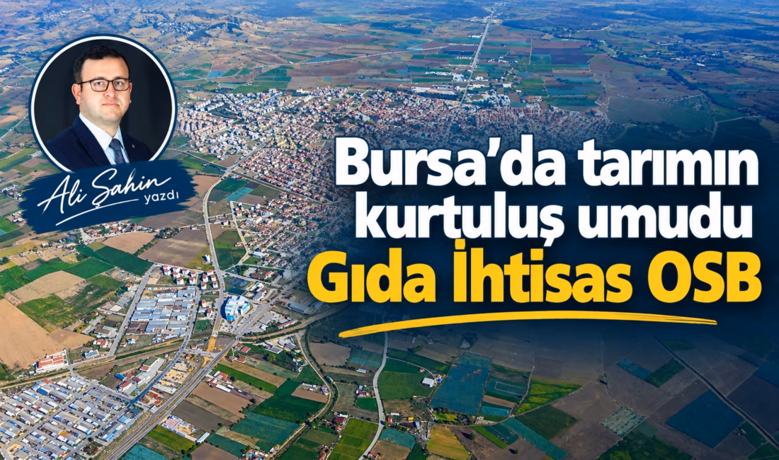 Bursa’da son dönemde çok konuşulan bir proje var: Gıda İhtisas